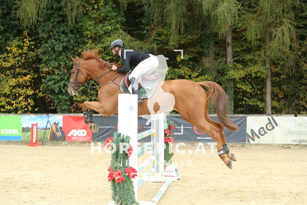 DL2Q6808 | Willkommen bei Brunnmayr - Design & Fotografie – Ihrem Spezialisten für Reitturniere und Pferdeveranstaltungen in Oberösterreich, Salzburg und Bayern! Seit über 17 Jahren sind wir leidenschaftlich dabei.