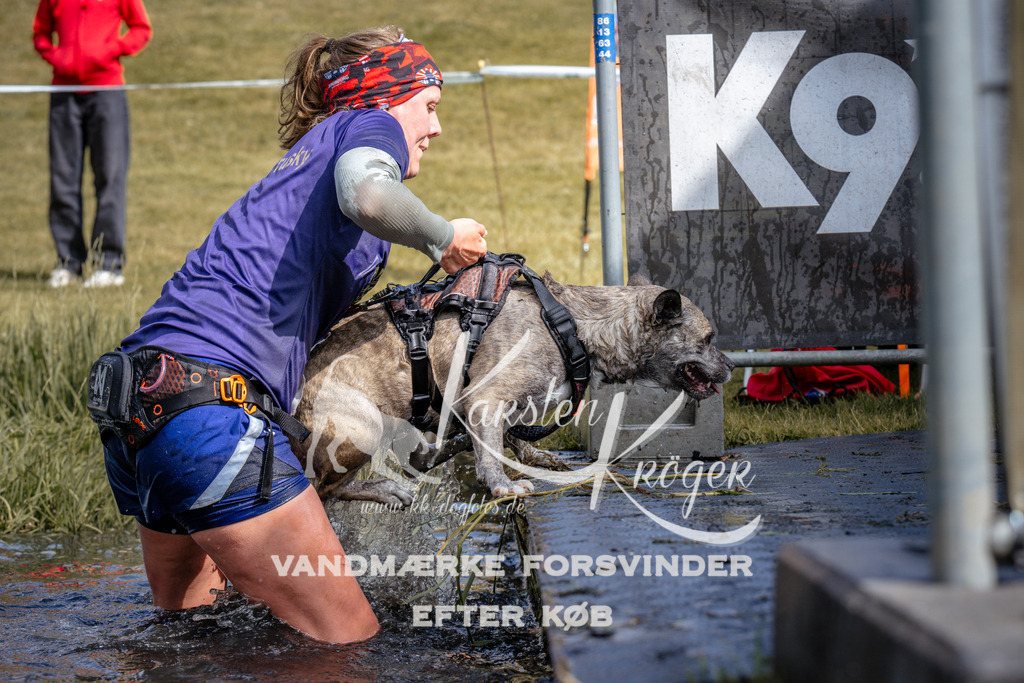 _ZZ907310907 | kk-dogfotos