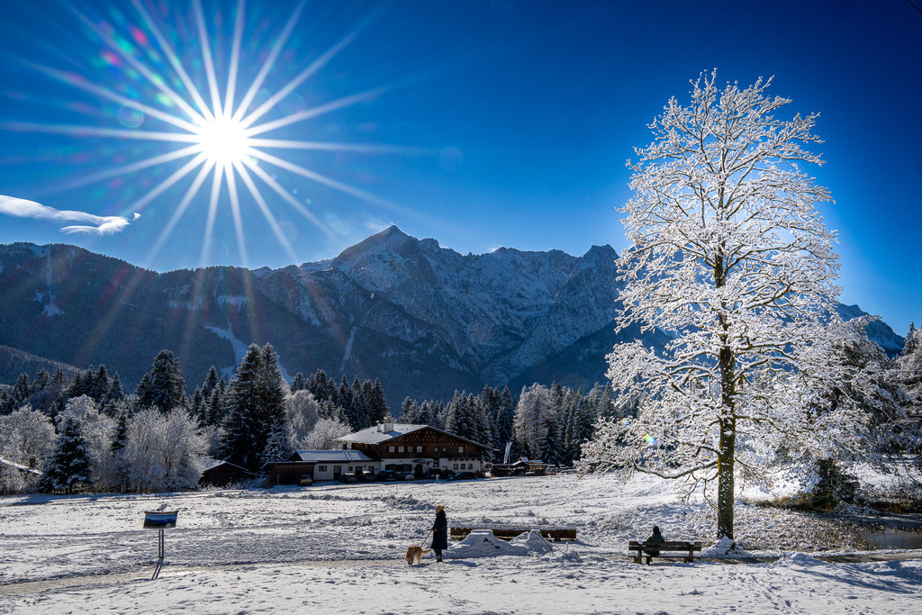 Wintersonne über Garmisch-Partenkirchen | Ein strahlender Wintertag wie aus dem Bilderbuch: Eine leuchtende Sonne steht als perfekter Stern am tiefblauen Himmel über der tiefverschneiten Alpenkulisse von Garmisch-Partenkirchen. Im Vordergrund bringt das helle Licht einen verschneiten Baum meisterhaft zum Glänzen, während Spaziergänger mit Hund und Rastende auf einer Bank die klare, eiskalte Bergluft genießen. Das mächtige Wettersteingebirge im Hintergrund rundet diese idyllische Szenerie ab – ein Moment voller Ruhe, Wärme und erhabener Naturmagie. - Realisiert mit Pictrs.com