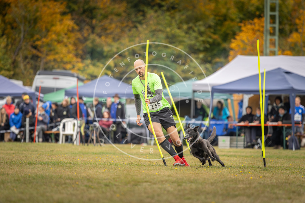 Pfotenfotografie_DV3A5203 | Hundefotografie, Tierfotograf, Pfotenfotografie, Fotoshooting Hund, Hunde Portrait, Hundesport, Hundeportraits, Heideshooting, Hunde, Sportfotograf, Hundefotograf, Turnierhundsport, THS,  - Realisiert mit Pictrs.com
