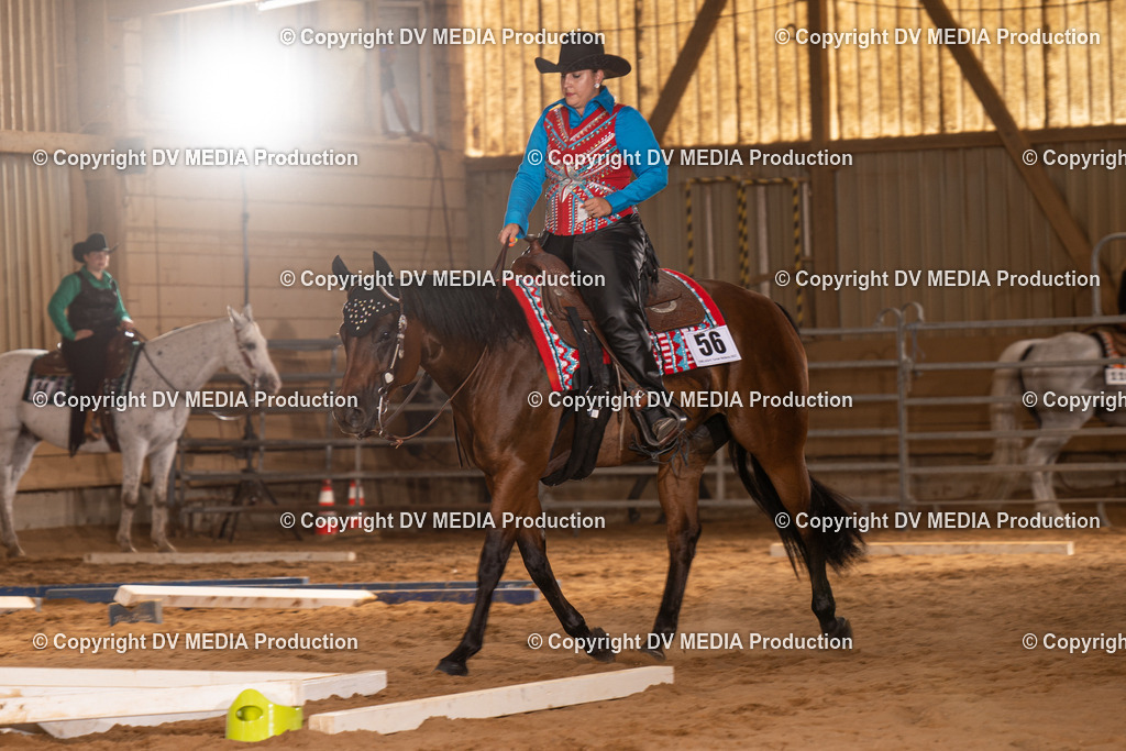 NID00652 | dv-media-shop - Realisiert mit Pictrs.com