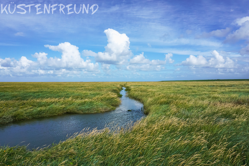 Fotoleinwand: Westerhever Salzwiesen | Entdecke deine Lieblingslandschaft von der Küste – auf Ostsee Leinwand, Nordsee Leinwand, Alu Dibond oder Acrylglas, passend für jeden Geschmack und Raum.