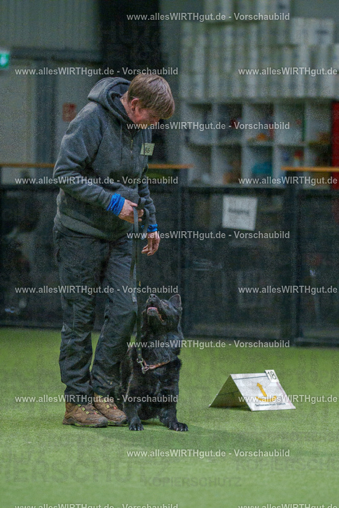 7R508130 | Professionelle Tierfotografie in Mönchengladbach von Daniel Wirth (allesWIRTHgut). Liebevolle & natürliche Bilder von Hunden & Katzen für unvergessliche Erinnerungen.