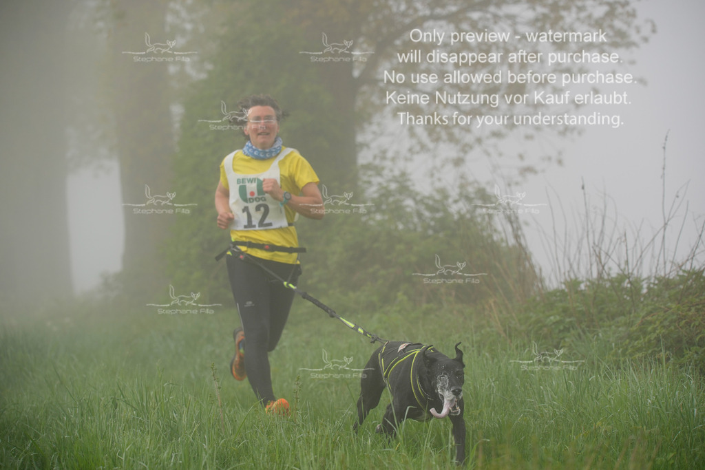 SA_GL2-69 | stephaniefillaphotographie - Realisiert mit Pictrs.com