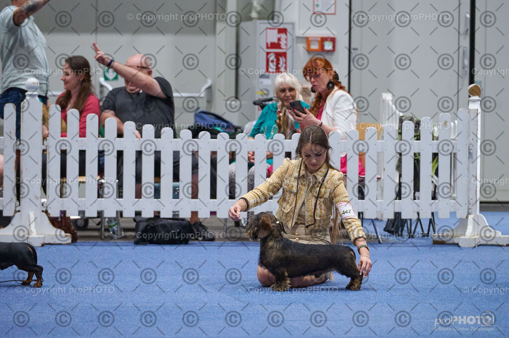 202406_ÖKV-IHA-Tulln24_DSC_3009 | proPHOTO - Realisiert mit Pictrs.com