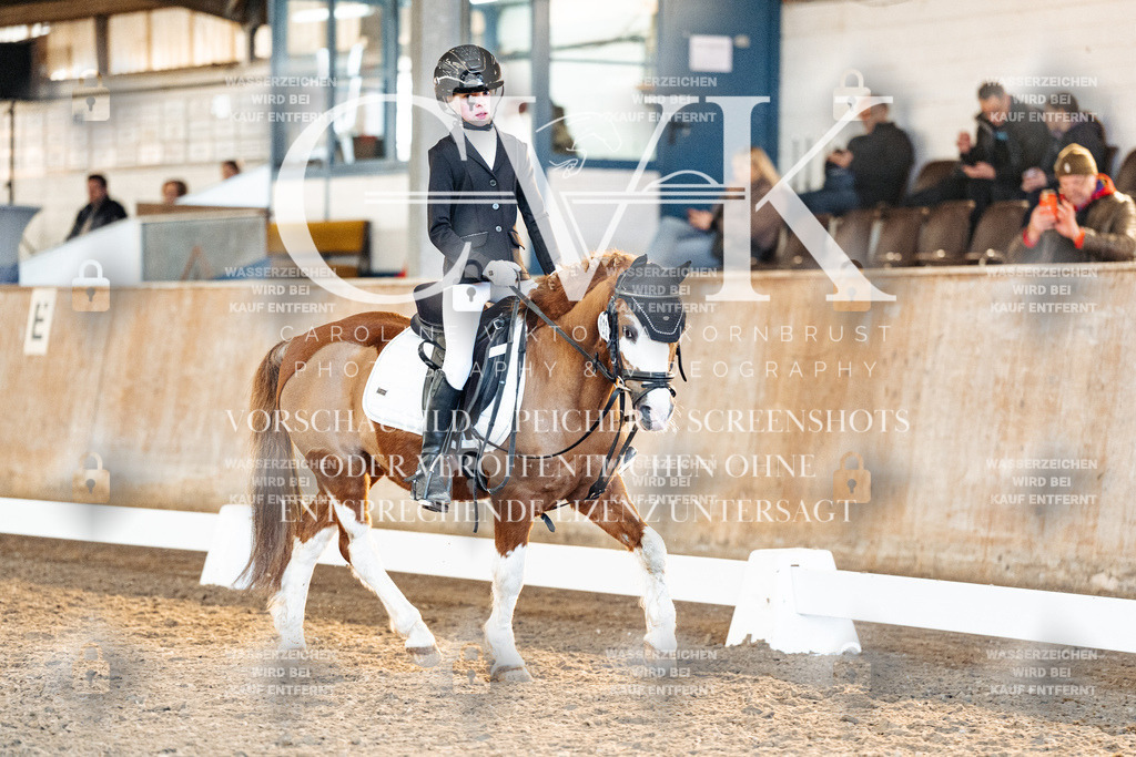CK907262 | Turnierfotografie Pferdefotografie Trier Rheinland-Pfalz Pferdesport Reitsport Tierfotografie Sportfotografie Pferdevideo Pferdevideografie Equestrianvideography equestrianphotography  - Realisiert mit Pictrs.com