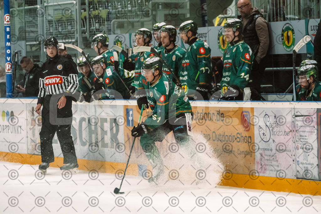 Alligatros_vs_Leipzig_11_09_2026-19 | Die Fotogalerie von Daddel: professionelle Bilder von Sport, Events und Unternehmen aus Franken. Jetzt Galerien durchstöbern und Lieblingsfotos bestellen. - Realisiert mit Pictrs.com