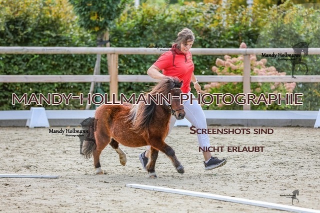 2-18 | mandyhollmannphotographie