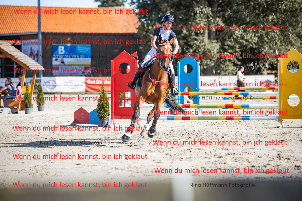 BK1A7337 | Turnierbilder Turnierfotos Nina Hüffmann Turnierfotografie Pferdefotografie Tierzeichnung Haustierzeichnung Pferdezeichnung Hundezeichnung Videograf  - Realisiert mit Pictrs.com
