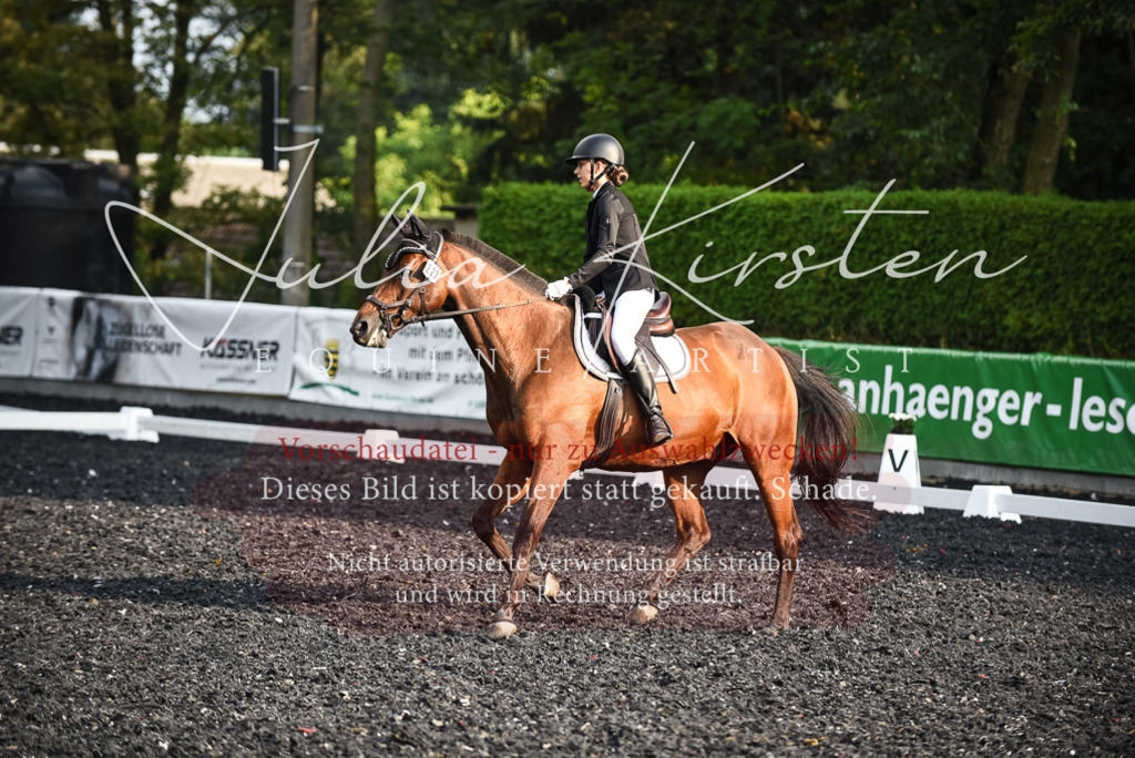 DSC_3479 | Pferde- und Turnierfotografie in Westsachsen. Pferdeportraits, Auftragszeichnungen und intuitive Kunst.