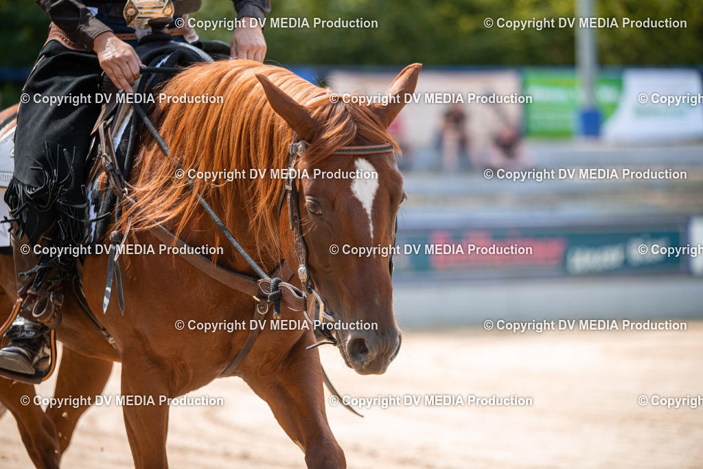 ZS2_8261 | dv-media-shop - Realisiert mit Pictrs.com