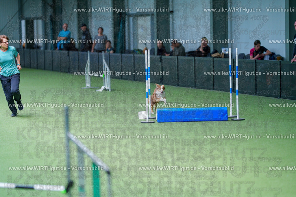 @allesWIRTHgut_Tierfotografie - www.allesWIRTHgut.de - 2604261220-7R500705 | Professionelle Tierfotografie in Mönchengladbach von Daniel Wirth (allesWIRTHgut). Liebevolle & natürliche Bilder von Hunden & Katzen für unvergessliche Erinnerungen.