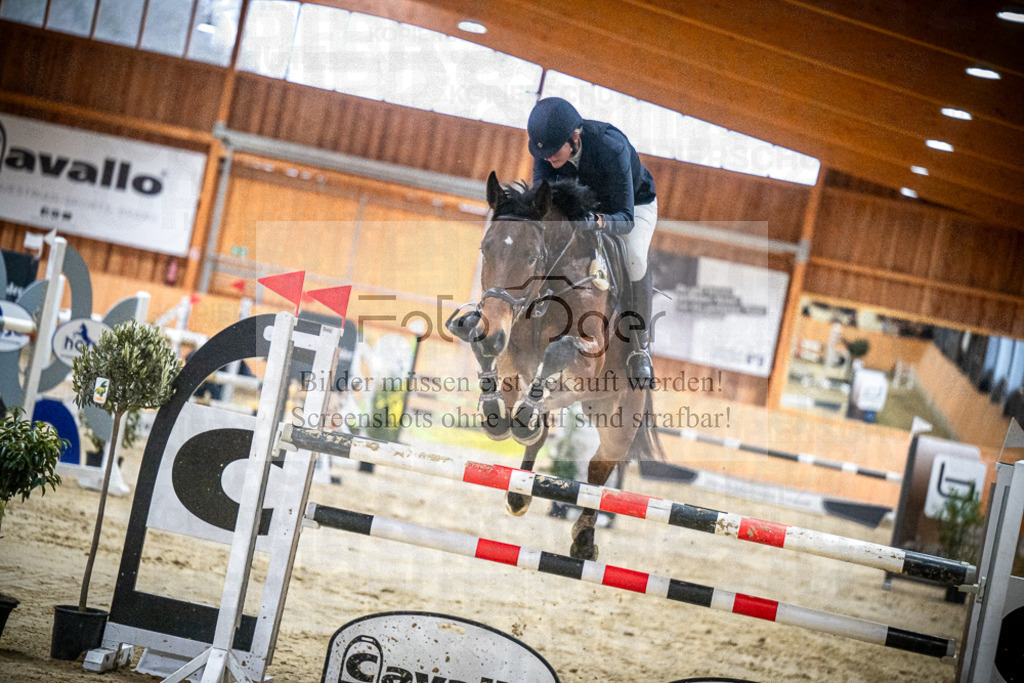DOS_1766 | Entdecke hochwertige Reitturnierfotos von Foto Oger. Professionell, emotional und authentisch – jetzt Lieblingsmomente im Shop bestellen.Deutschlandweite Turnierfotografie. - Realisiert mit Pictrs.com