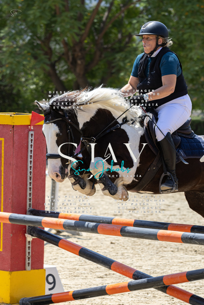 IMG_0955 | s-jay-photography - Realisiert mit Pictrs.com