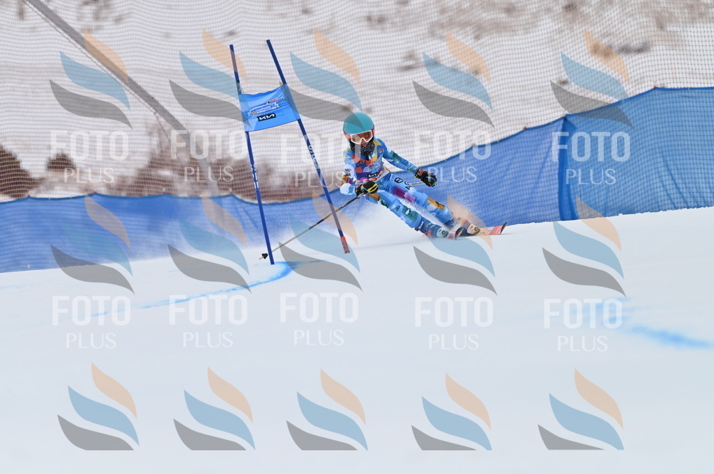 BGV_1026 | holidayphoto