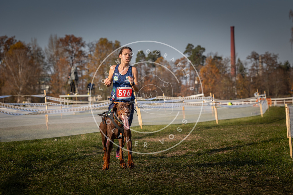 CaniXpix_0L8A0060 | Hundefotografie, Tierfotograf, Pfotenfotografie, Fotoshooting Hund, Hunde Portrait, Hundesport, Hundeportraits, Heideshooting, Hunde, Sportfotograf, Hundefotograf, Turnierhundsport, THS,  - Realisiert mit Pictrs.com