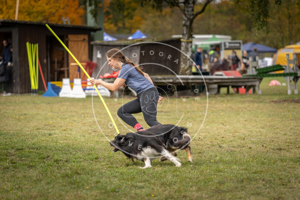 Pfotenfotografie_DV3A7250 | Hundefotografie, Tierfotograf, Pfotenfotografie, Fotoshooting Hund, Hunde Portrait, Hundesport, Hundeportraits, Heideshooting, Hunde, Sportfotograf, Hundefotograf, Turnierhundsport, THS,  - Realisiert mit Pictrs.com