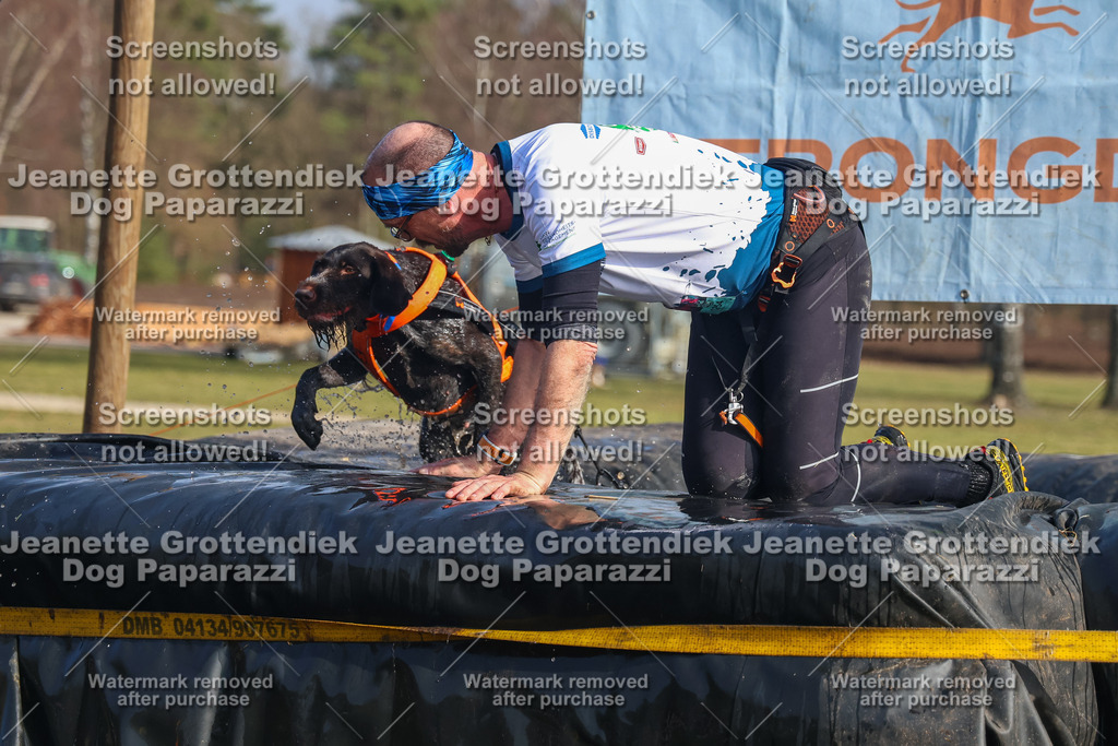 Dog Paparazzi - Strongdog North Mrz26-2550 | Dog Paparazzi Jeanette Grottendiek Fotografie & Videografie - Realisiert mit Pictrs.com
