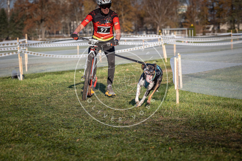 CaniXpix_0L8A4089 | Hundefotografie, Tierfotograf, Pfotenfotografie, Fotoshooting Hund, Hunde Portrait, Hundesport, Hundeportraits, Heideshooting, Hunde, Sportfotograf, Hundefotograf, Turnierhundsport, THS,  - Realisiert mit Pictrs.com
