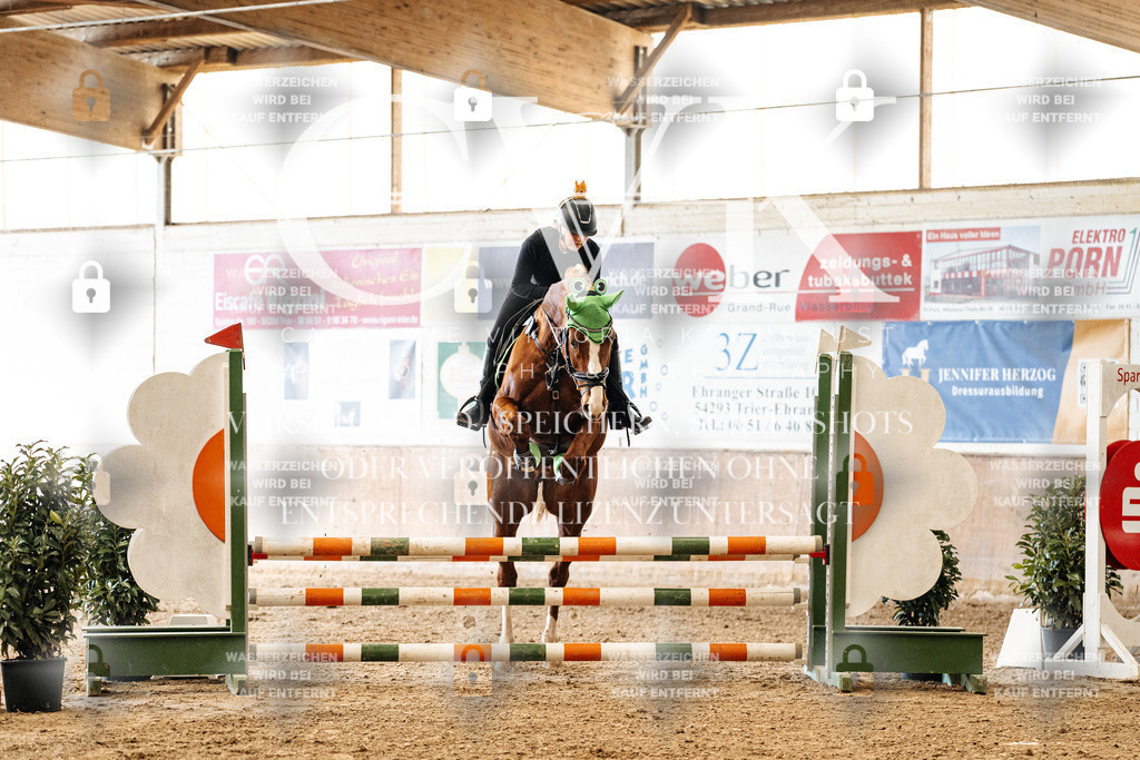 CK905470 | Turnierfotografie Pferdefotografie Trier Rheinland-Pfalz Pferdesport Reitsport Tierfotografie Sportfotografie Pferdevideo Pferdevideografie Equestrianvideography equestrianphotography  - Realized with Pictrs.com