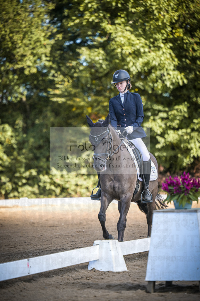 DOS_3074 | Entdecke hochwertige Reitturnierfotos von Foto Oger. Professionell, emotional und authentisch – jetzt Lieblingsmomente im Shop bestellen.Deutschlandweite Turnierfotografie. - Realisiert mit Pictrs.com