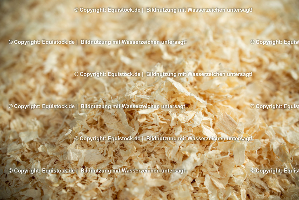 20190409_Classic_0002 | Foto: Thomas Hartig