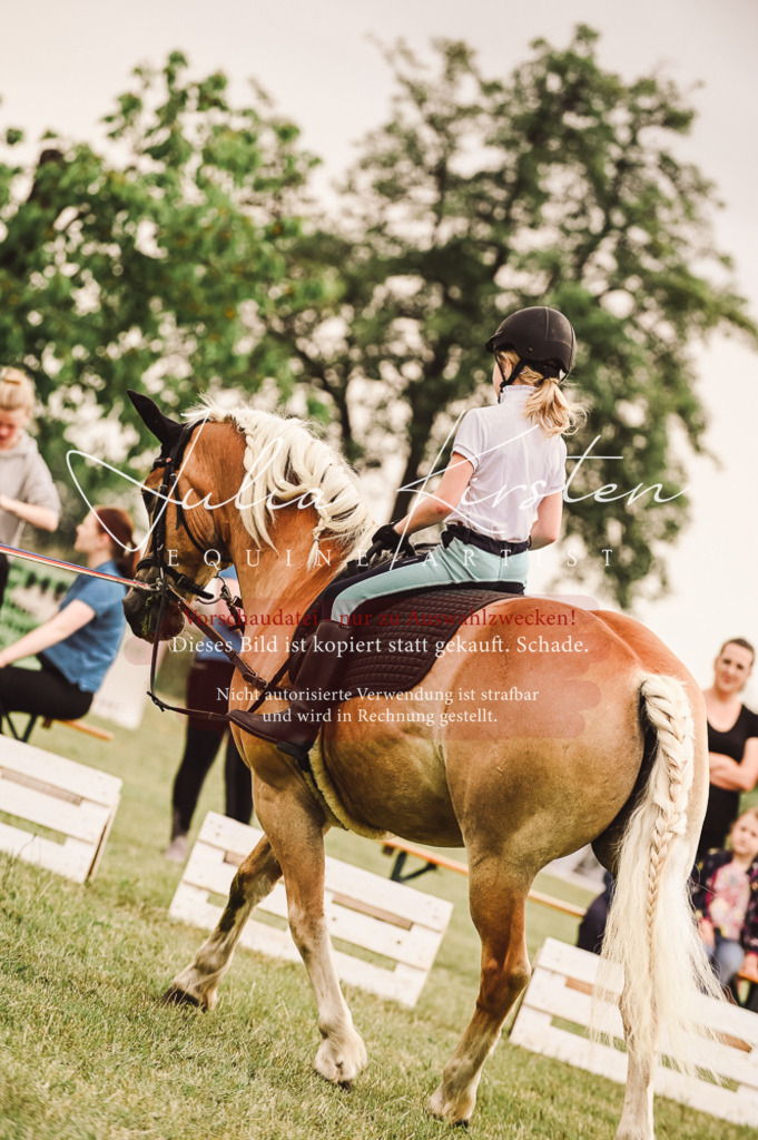 DSC_5242 | Pferde- und Turnierfotografie in Westsachsen. Pferdeportraits, Auftragszeichnungen und intuitive Kunst.