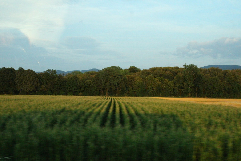 IMG_4798 | J. Weisner - Realisiert mit Pictrs.com