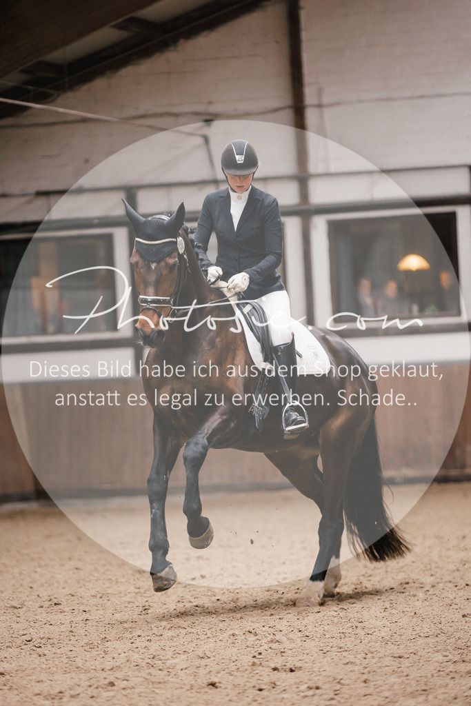 3I6A6792 | Stimmungsvolle Portraits und Reitsportfotografie im Ruhrgebiet und im Münsterland.

Pferdefotografie, Hundefotografie, Tierfotografie, Reportagen, Portraits von Tier und Mensch, Turnierfotografie in Bochum, Recklinghausen, Marl, Haltern am See, Dülmen.. - Realisiert mit Pictrs.com