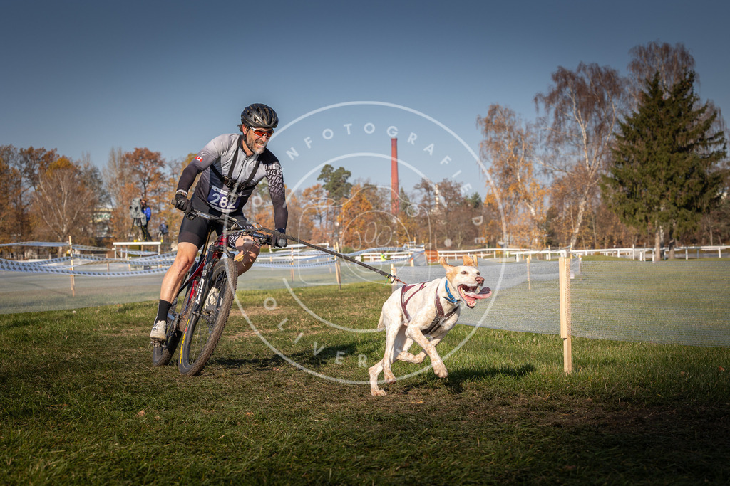 CaniXpix_0L8A6829 | Hundefotografie, Tierfotograf, Pfotenfotografie, Fotoshooting Hund, Hunde Portrait, Hundesport, Hundeportraits, Heideshooting, Hunde, Sportfotograf, Hundefotograf, Turnierhundsport, THS,  - Realisiert mit Pictrs.com