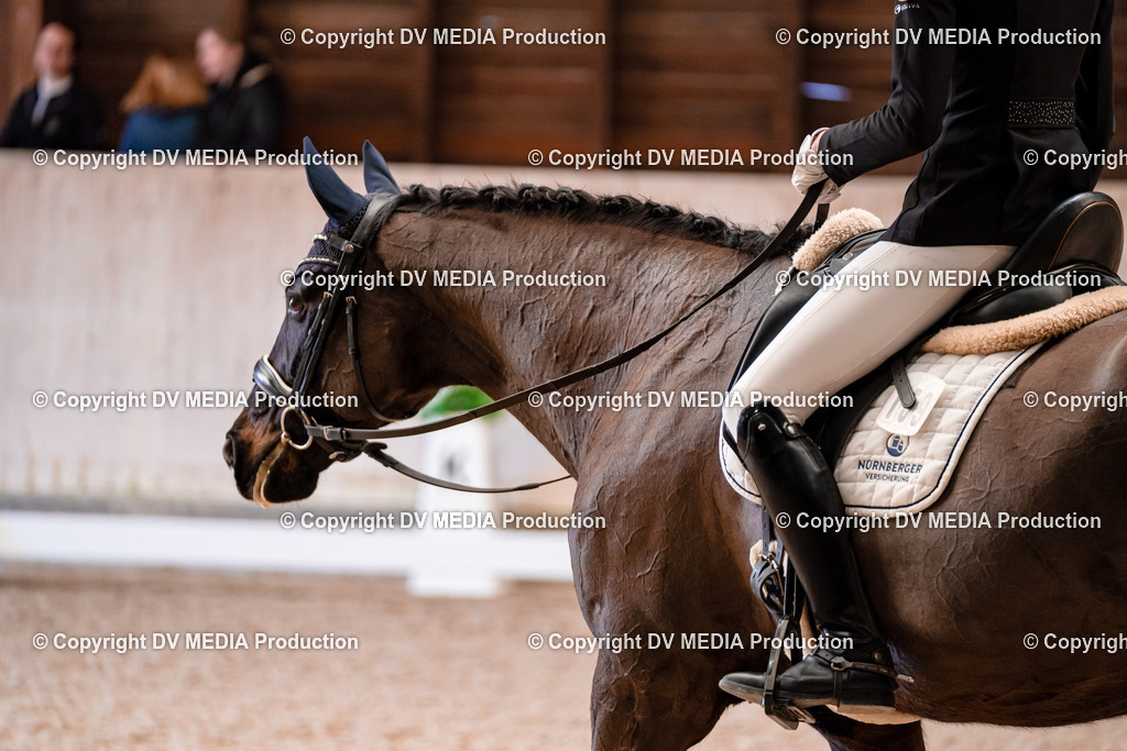 Dressur Tag 2-258 | dv-media-shop - Realisiert mit Pictrs.com
