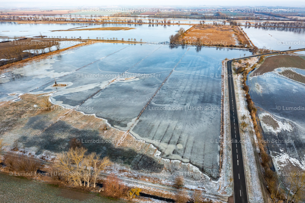 10049-51847 - Hochwasser im Großen Bruch | Stockfoto und Bilderpool mit Bildmaterial aus Deutschland, dem Harz, Halberstadt, Quedlinburg, Wernigerode und weltweit. Qualitativ hochwertige und professionelle Fotos anschauen und kaufen. - Realisiert mit Pictrs.com