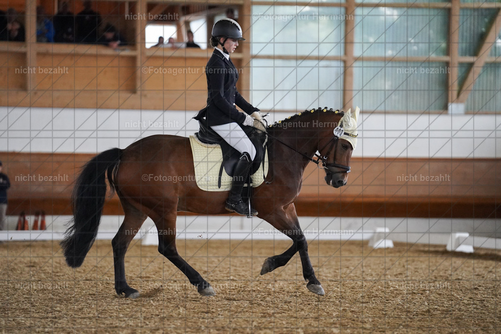 20240825-FAH09524 | Turnierbilder, Reitsportfotos, LAPO, Landesponyturnier, Turnierfotografen Bayern