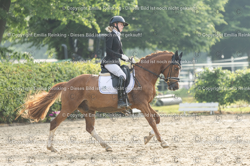 CL5A3505 | Emilia Reinking Fotografie - Realisiert mit Pictrs.com