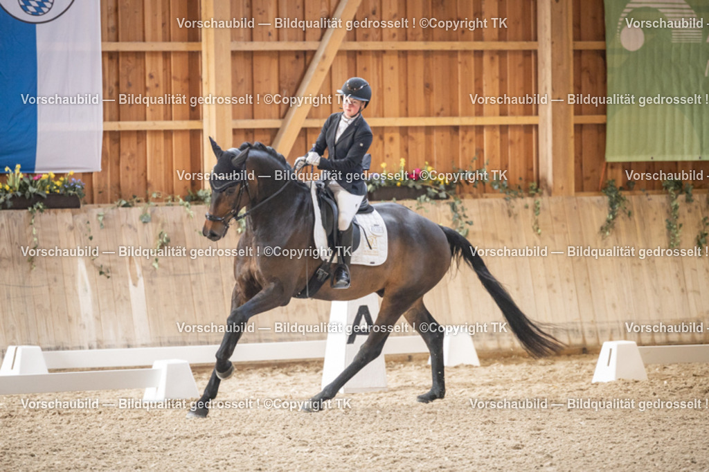 _D5A8325 | Emotionale Pferde- & People-Fotografie rund um Heidelberg, Leimen & Umgebung. Natürliche Fotos von Pferd, Mensch & Familie. Jetzt Termin sichern!