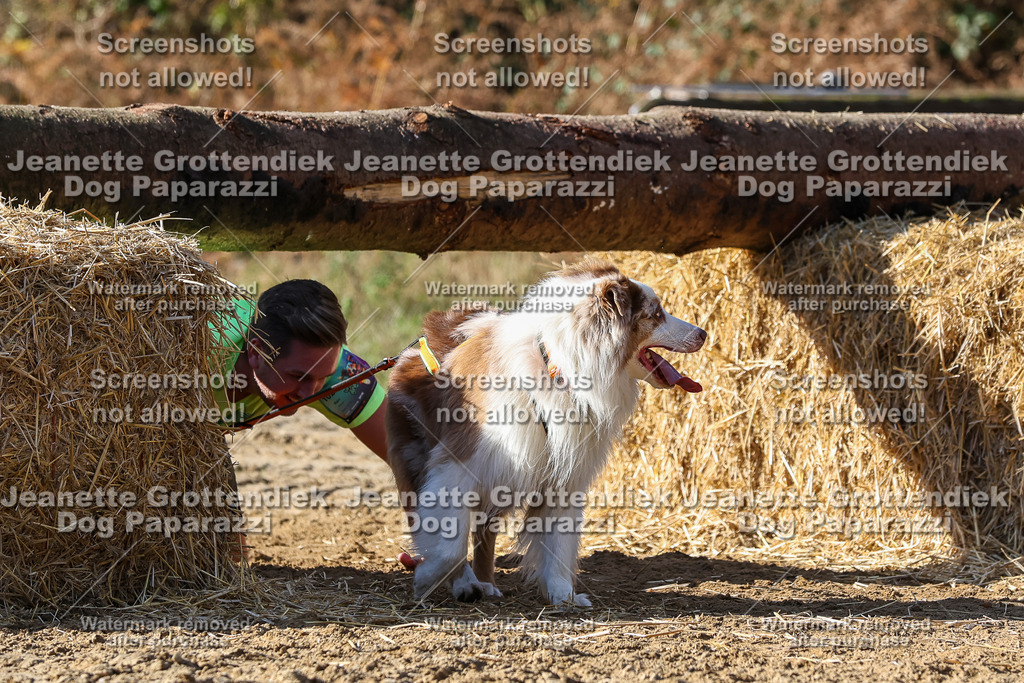 Dog Paparazzi - Strongdog 10-25-4731 | Dog Paparazzi Jeanette Grottendiek Fotografie & Videografie - Realisiert mit Pictrs.com