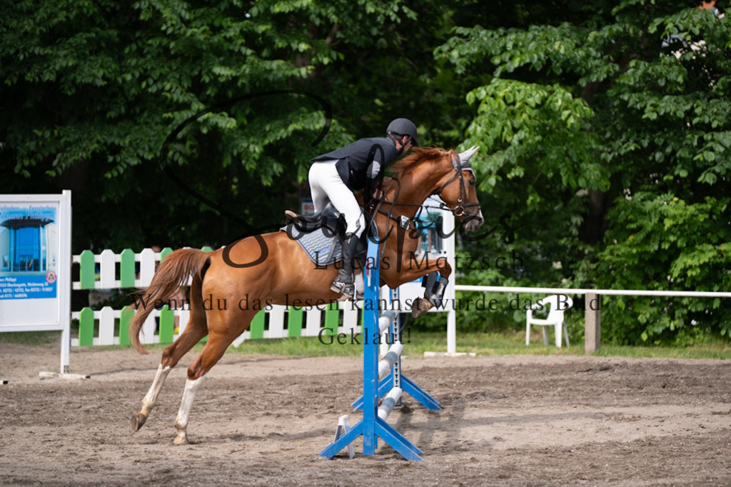 A7V04812 | Pferdefotograf