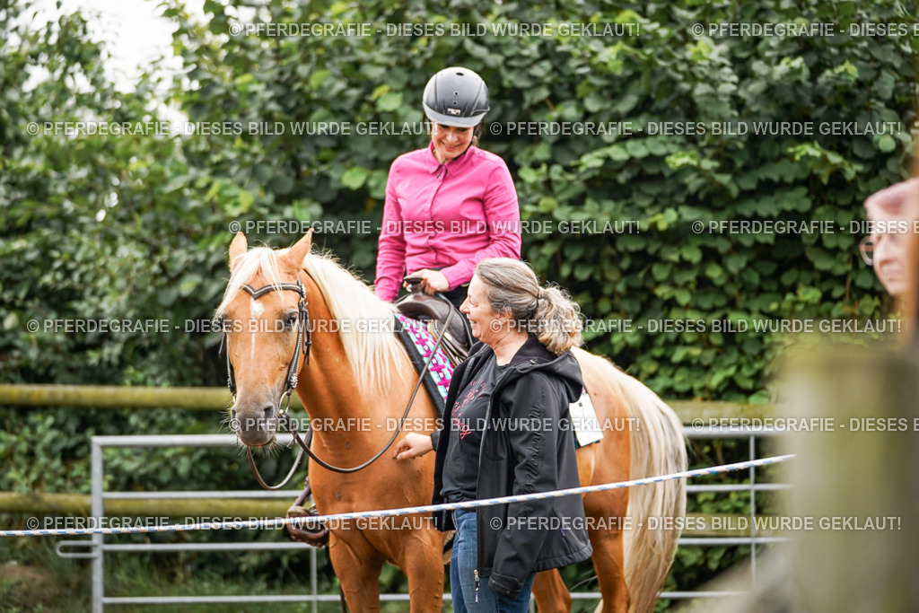 DSC03526 | Pferdegrafie