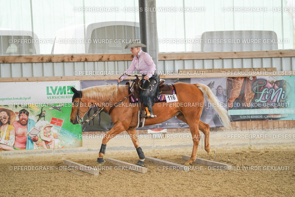 DSC02881 | Pferdegrafie