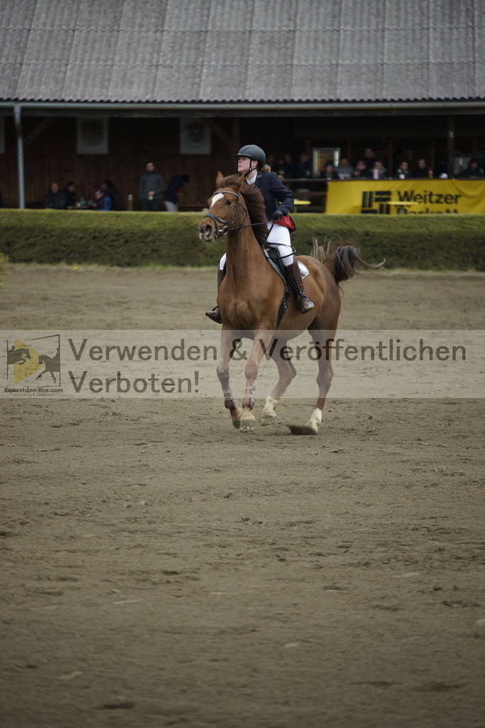 _DSC7155 | equestrian-live-com
