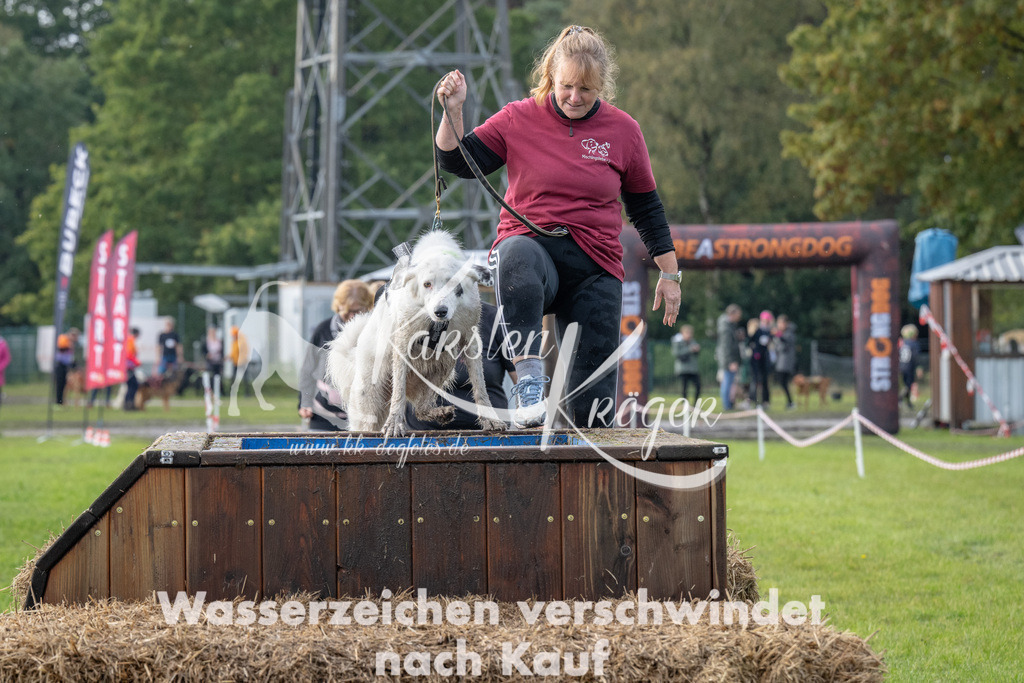 1504-94938 | kk-dogfotos