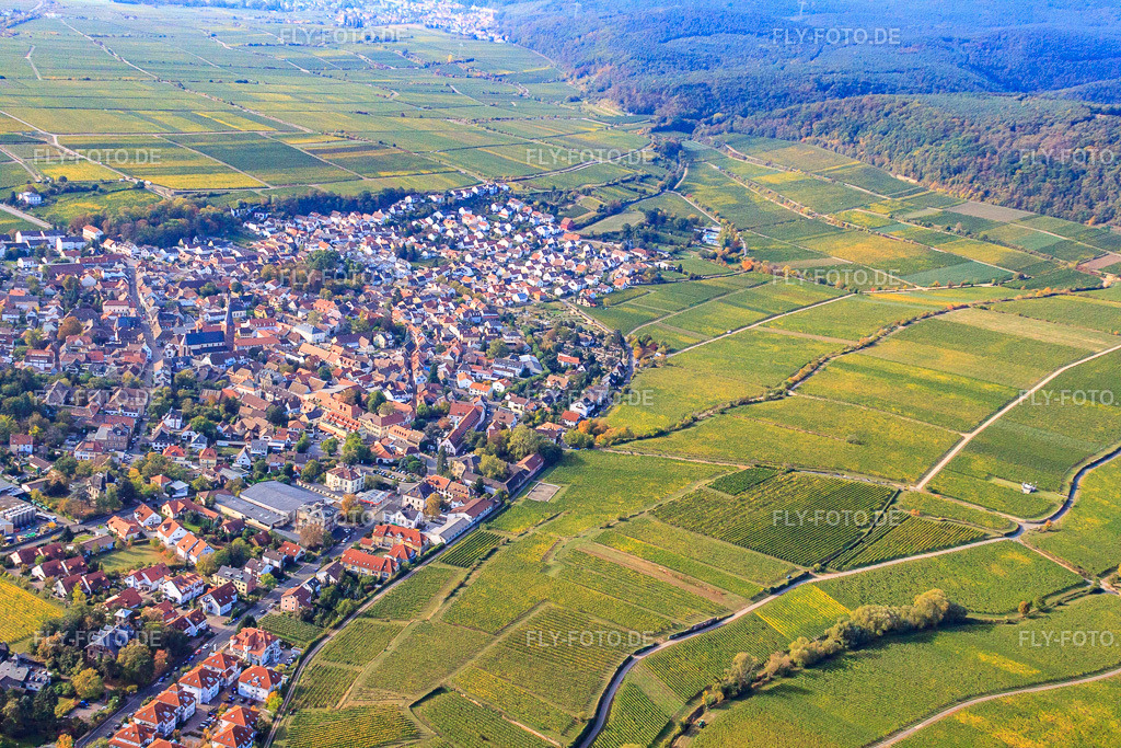 Winzerstadt von Norden | Luftbild: Winzerstadt von Norden in Deidesheim im Bundesland Rheinland-Pfalz in Deutschland. Foto: IMG_21996.jpg vom 15.10.2009 durch Werner Riehm/FLY-FOTO.de - Realisiert mit Pictrs.com