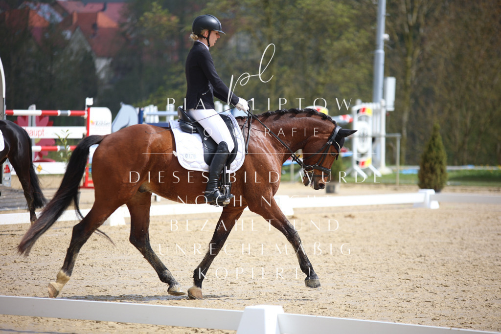 IMGT3722 | pl-fotografie