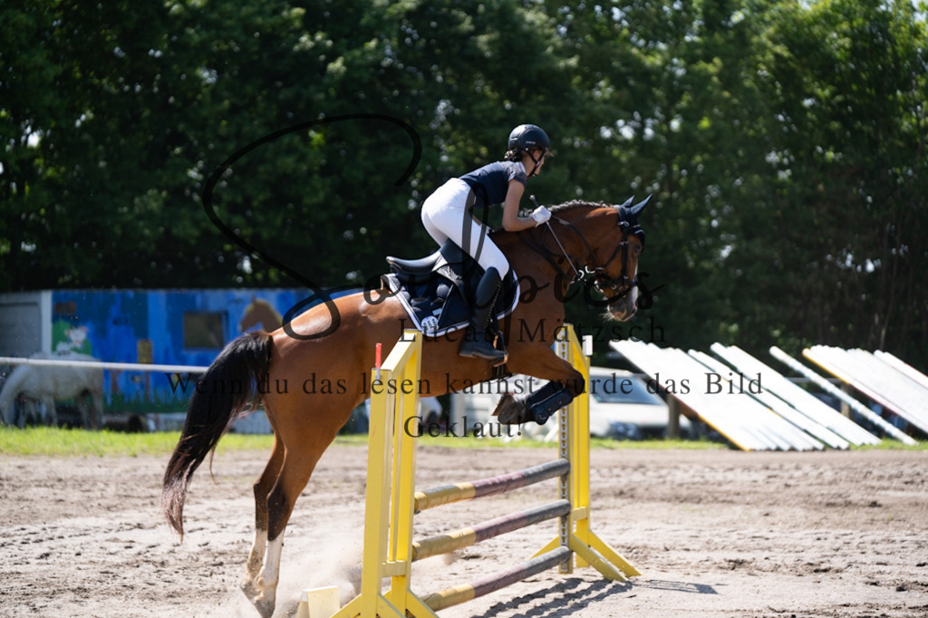 A7V03299 | Pferdefotograf