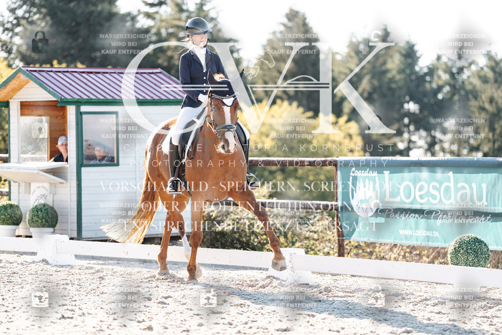 CK906836 | Turnierfotografie Pferdefotografie Trier Rheinland-Pfalz Pferdesport Reitsport Tierfotografie Sportfotografie Pferdevideo Pferdevideografie Equestrianvideography equestrianphotography  - Realisiert mit Pictrs.com