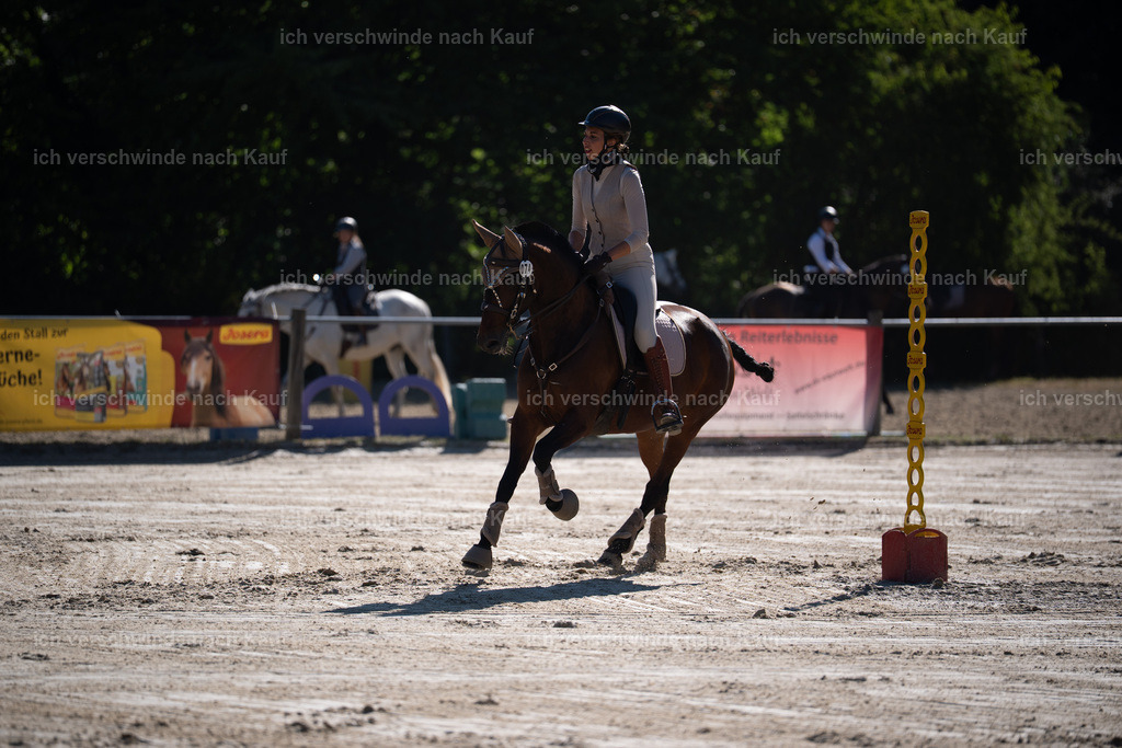 WL_SP_74_Stoibphotography_SO14679 | working equitationturnier fotograf videograf stoibphotography marixx film working equitation deutschland reitsport turnierfotografie eventfotografie equestrian events