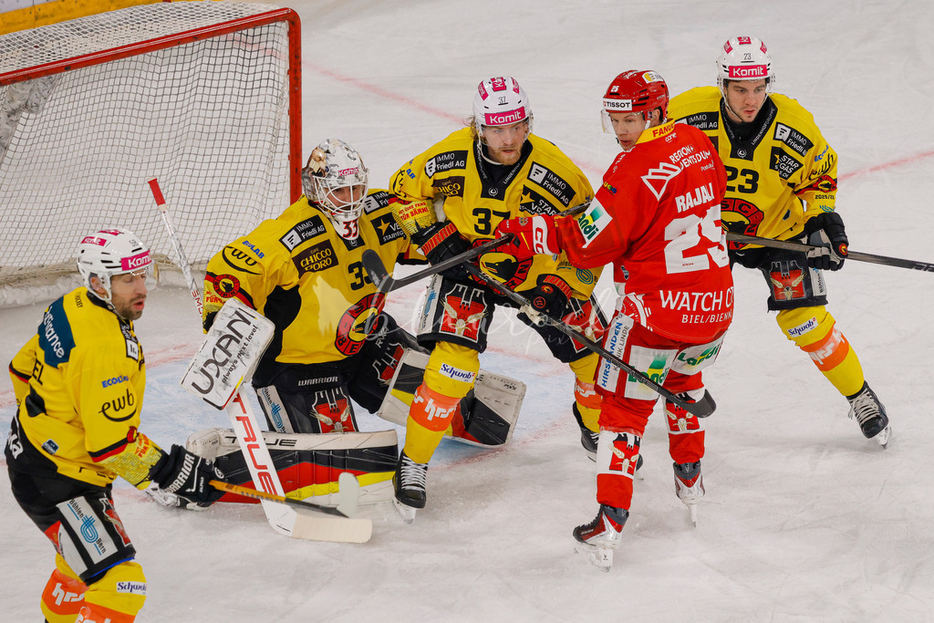 EHCB vs SCB 20260110_wb-3020 | Sportbilder, Sportfotograf, Hochzeits- und Eventfotografin, Flugshows, Portraits und Tiershooting, Aviation, Downhill, Nationalleague, Swissleague, International
