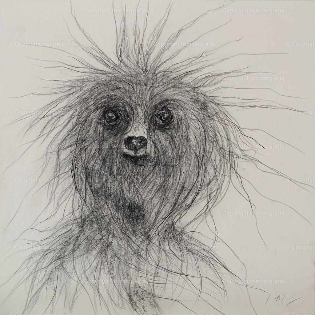 L1020087 (2) | romberg-arts, romberg-arts.de, www.romberg-arts.de, Foto_Online_Shop, Julia Fuhrmann, Köln, Fotos, Fotografie, Fotokunst, Kunstdrucke, Naturfotos, Aktfotos, Nacktfotos, schwarz_weiß_Fotos, Blumenfotos, Blumen, Tiere, Beton, Korrosion, Lächeln, Drucke