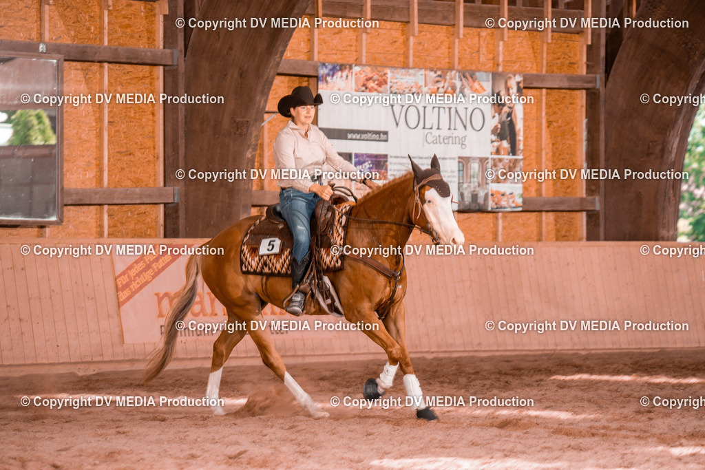 NE300555 | dv-media-shop - Realisiert mit Pictrs.com