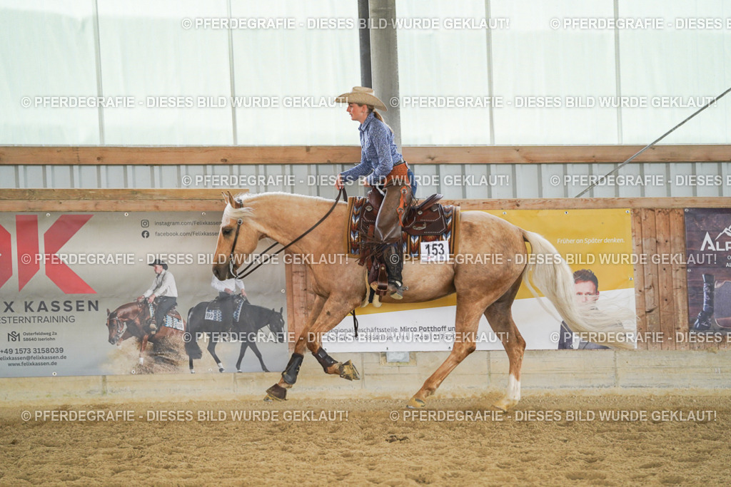 DSC05908 | Pferdegrafie